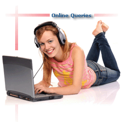 Online Query